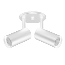 Dainolite STY-72SPT-MW - 2 Light Spot Light in Matte White