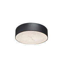 Dainolite WSH-1220LEDFH-MB - 20W Flush Mount in Matte Black w/ Alabaster Diffuser