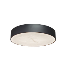 Dainolite WSH-1630LEDFH-MB - 30W Flush Mount in Matte Black w/ Alabaster Diffuser