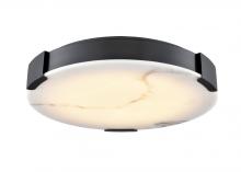 DVI DVP42038EB-GFA - PETRA 14" LED FLUSH MOUNT