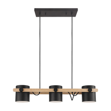 Eglo Canada 43045A - Hornwood Trend / Tendance